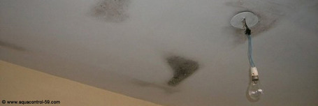 Les moisissures en plafond : trouver la cause avant d&rsquo;agir | La Revue de Technitoit | Scoop.it