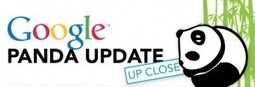 Google Panda : Ce qu'il faut d&eacute;finitivement retenir... [infographie] | R&eacute;f&eacute;rencement internet | Scoop.it