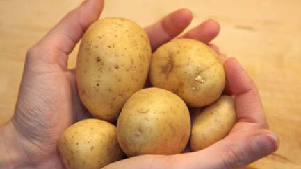 Rappel de pommes de terre vendues chez Aldi et Delhaize | Nature to Share | Scoop.it