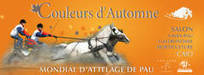 Mondial d&rsquo;Attelage de Pau&nbsp;-&nbsp;Haras-nationaux | Couleurs d'Automne | Scoop.it
