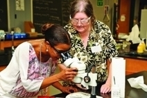Training Camp For Science Teachers | Chemical & Engineering News | Digital Media Literacy + Cyber Arts + Performance Centers Connected to Fiber Networks | Scoop.it