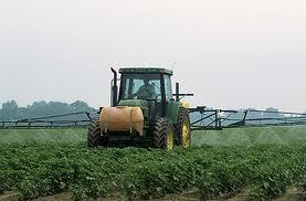 Study: You&rsquo;re In Trouble, Roundup | The Barley Mow | Scoop.it