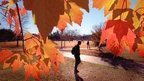 Downward mobility haunts US education | The Big Picture | Scoop.it