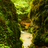 Green Architecture