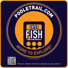 Poole Trail | QR Code Art | Scoop.it