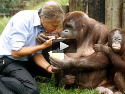 David Attenborough: US Politicans Duck Climate Change Because of Cost | Yan's Earth | Scoop.it