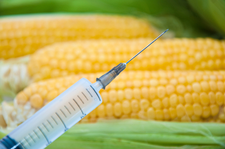 ETATS-UNIS – Autorisation des OGM : le ministère de l’agriculture au-dessus des décisions de justice | Nature to Share | Scoop.it