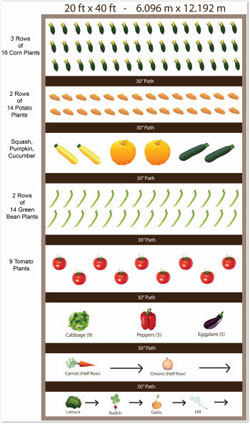 Raised Vegetable Garden Above Ground Vegetable Garden Raised Bed