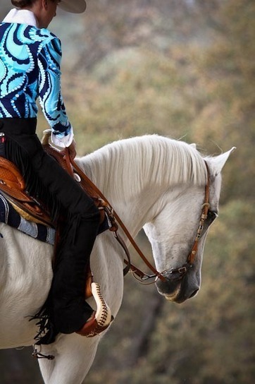 The Growing Sport of Western Dressage | Western Lifestyle | Scoop.it