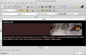 BlueGriffon: editor Wysiwyg que soporta CSS3 y&nbsp;HTML5 | Maestr@s y redes de aprendizajes | Scoop.it
