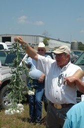 Economist: Weigh every option before considering restocking beef herds | AgriLife Today | Trinity River Basin | Scoop.it