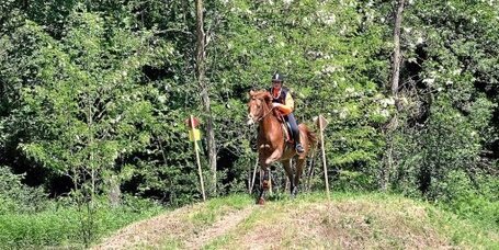 Sabran De belles performances pour les cavali&egrave;res de Cheval Pie | Cheval et sport | Scoop.it