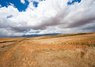 HOW THE USA SOLD AFRICA to Multinationals Like Monsanto, Cargill, DuPont, PepsiCo and Others | YOUR FOOD, YOUR HEALTH: Latest on #Biotech Ag, GMOs, Pesticides, Chemicals, CAFOs, BigAg | Scoop.it