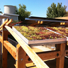 sustainable architecture