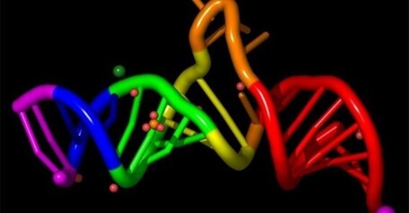 Can A Scientist Define "Life"? By Carl Zimmer | Txchnologist | Knowmads, Infocology of the future | Scoop.it