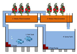 DIY Aquaponics - Plumbing Guide: Part 2 | Aquap...