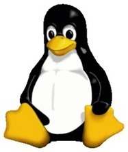M&eacute;moire partag&eacute;e (shared memory) sur un serveur LAMP | Informatique | Scoop.it
