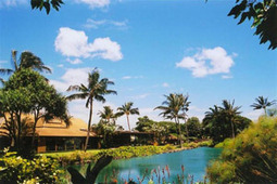 Pesticidemakers in paradise | YOUR FOOD, YOUR HEALTH: Latest on BiotechFood, GMOs, Pesticides, Chemicals, CAFOs, Industrial Food | Scoop.it