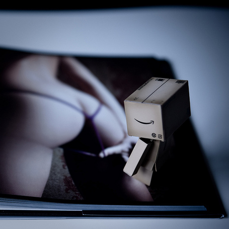  Danbo on Finds Danbo   Flickr   Photo Sharing    Best Of Danbo   Scoop It