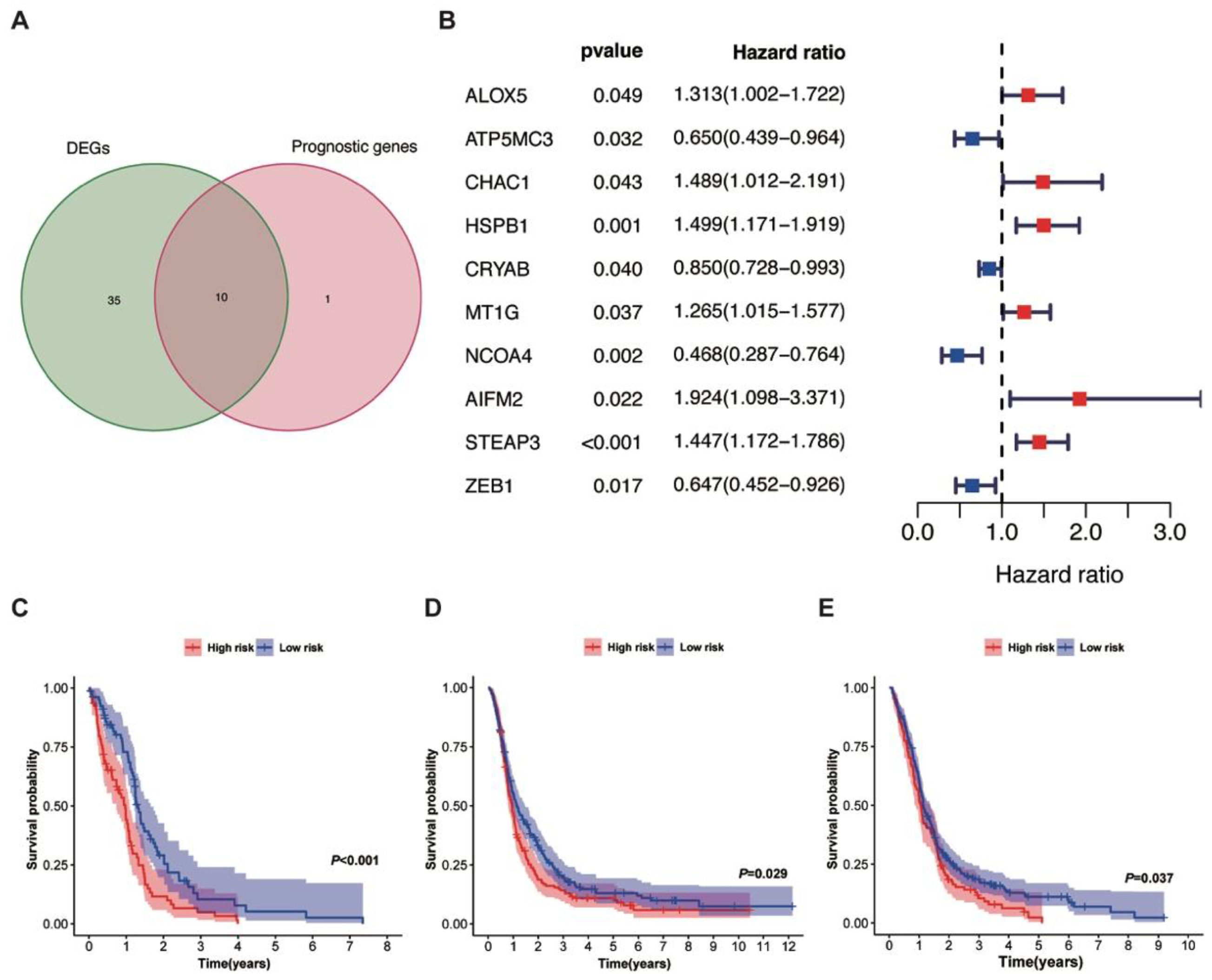 Prognostic Prediction Model For Glioblastoma A