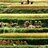 img_Food Situation - globally