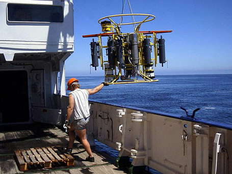 Pourquoi l'oc&eacute;an perd-il son azote ? | Plong&eacute;e sous-marine | Scoop.it
