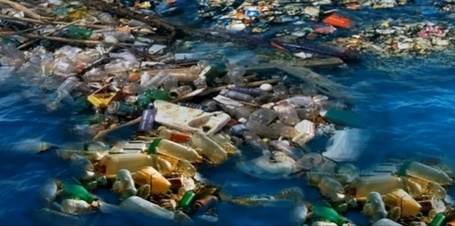 &Agrave; la d&eacute;couverte du "continent de plastique" | Biodiversit&eacute; & Relations Homme - Nature - Environnement : Un Scoop.it du Mus&eacute;um de Toulouse | Scoop.it