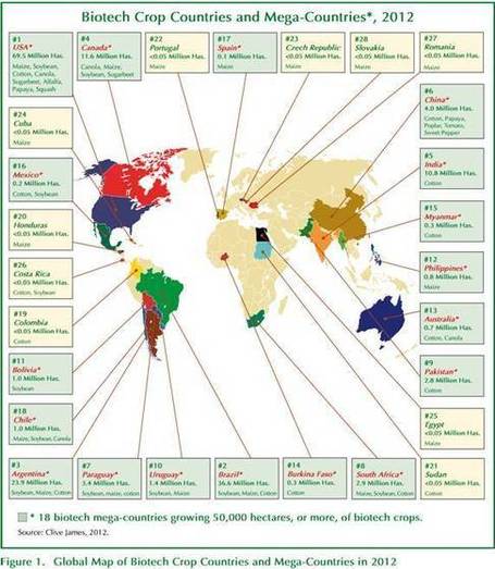 Global Status of Commercialized Biotech/GM Crops: 2012 - ISAAA (2013) | Modern Agricultural Biotechnology | Scoop.it