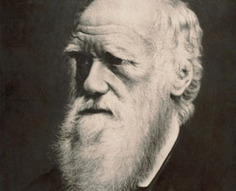 Belief in Evolution Boils Down to a Gut Feeling | Teaching in the XXI century | Scoop.it