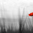 Stories - an experience for your audience -
