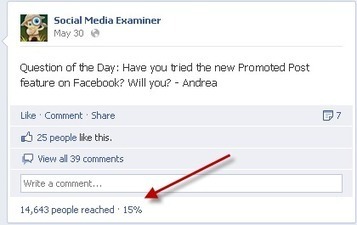 12 Tips When Using Facebook Promoted Posts | The Perfect Storm Team | Scoop.it