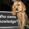 Innovations in e-Learning