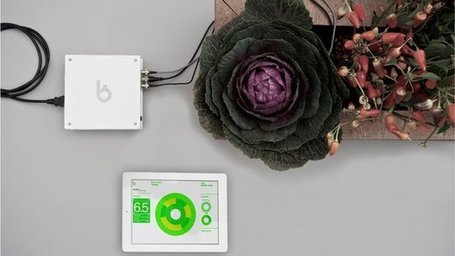 The technology that's transforming gardening - BBC News | Vertical Farm - Food Factory | Scoop.it