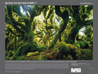 La for&ecirc;t, une communaut&eacute; vivante - Exposition de photos - veziauxdaure.fr | Vall&eacute;e d'Aure | Scoop.it