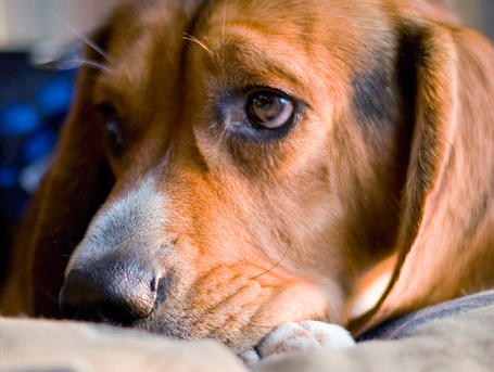 The worst sleep offenders -- and how to rid them | It's Show Prep for Radio | Scoop.it