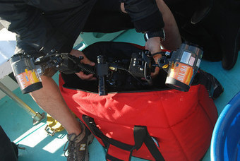 Underwater Housing Maintenance tips, Camera fogging,O-ring care, Dome port scratches | Indigo Scuba | Scoop.it