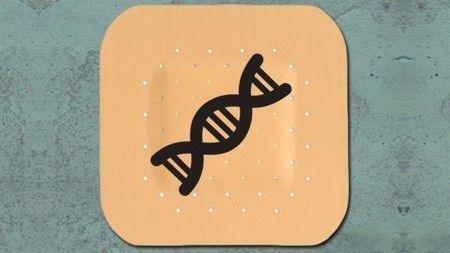 Polymer patches could replace needles and enable more effective DNA vaccines | Longevity science | Scoop.it