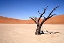 GSDRC: Climate change adaptation | Agriculture and Climate Change | Scoop.it