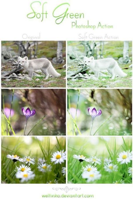 20 Exceptional Photoshop Actions for Designers | Photoshop Tutoriels | Scoop.it