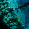 Diving Destinations