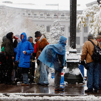 Pressured to Name Leader, Occupy Denver Elects Dog | Human Rights and the Will to be free | Scoop.it