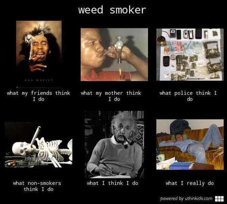 Weed Smoker | What I really do | Scoop.it