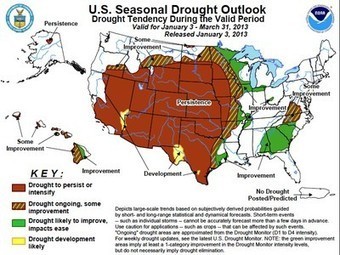 Start That Gluten-Free Diet: Wheat Will Be More Expensive This Year | Vertical Farm - Food Factory | Scoop.it