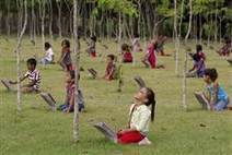 Brazil's 'Green City' a model for rest of Amazon | Global Water Resources | Scoop.it