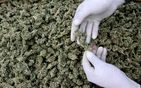 Suddenly, Pot Is Legal in (Part of) the United States | Criminology and Economic Theory | Scoop.it