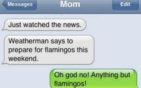 Damn You Auto Correct Founder Picks 12 Funniest Texts Ever | Prozac Moments | Scoop.it