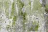 NY Congressman Nadler urges fed oversight on Sandy cleanup of mold, environmental toxins | Asbestos and Mesothelioma World News | Scoop.it