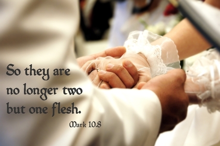 Mark 10.8 Poster - So they are no longer two, but one flesh. | Resources for Catholic Faith Education | Scoop.it