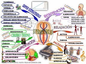 mapa_mental_s_a_lg.jpg (400x297 pixels) | Ciencia 2 | Scoop.it