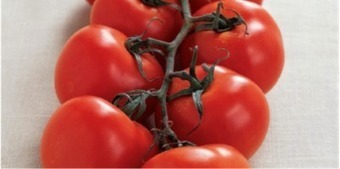&Agrave; Catanada na Cozinha: Sopa fresca de Tomate-Laranja com Quenelles de Figos | &Agrave; Catanada na Cozinha Magazine | Scoop.it